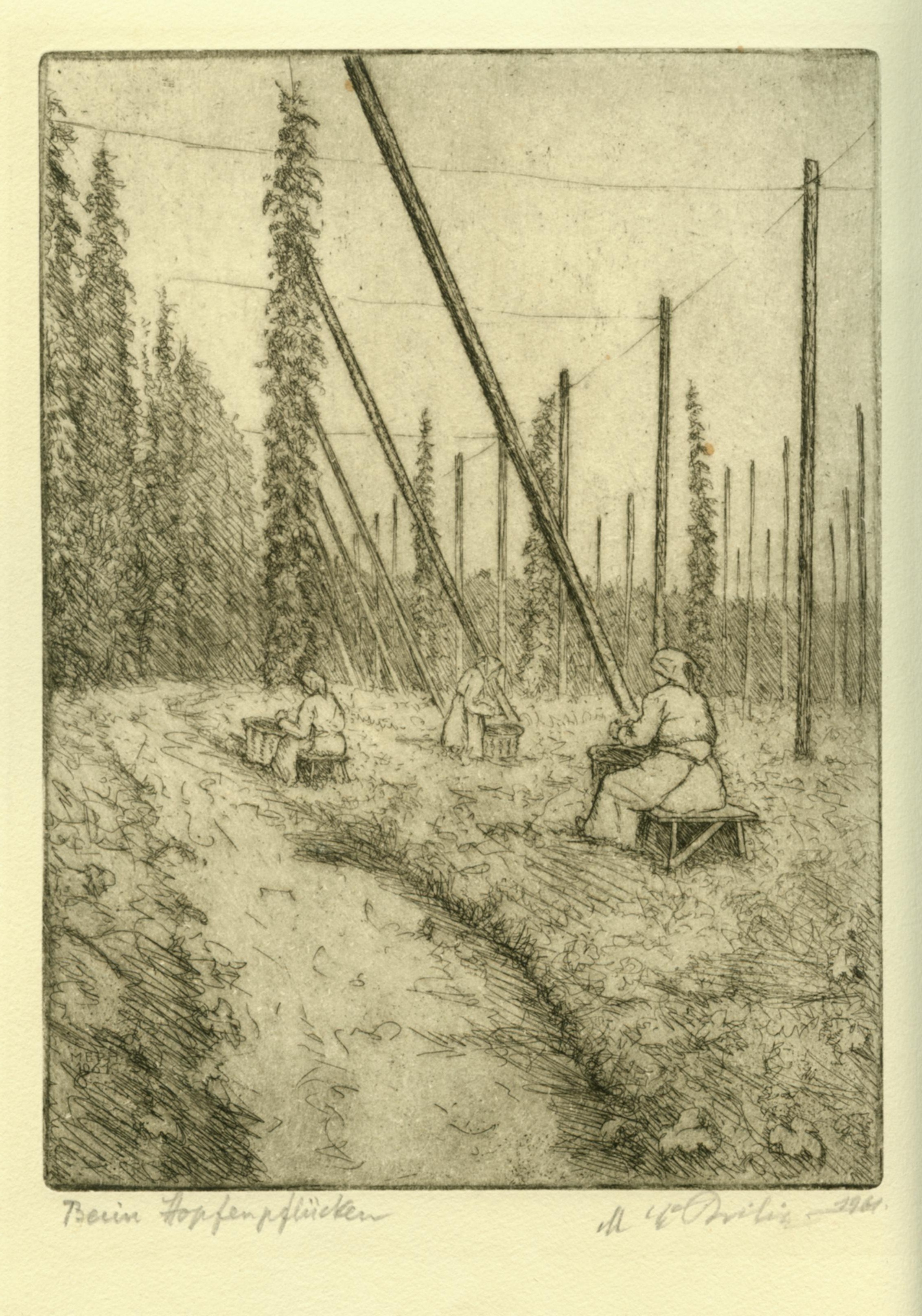 Philipp Hopfenpfl�cken (2)